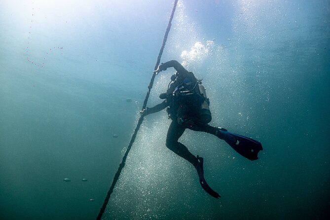 Private Tour Wreck Diving 5 Divers Cabo to La Paz - Equipment and Safety Precautions