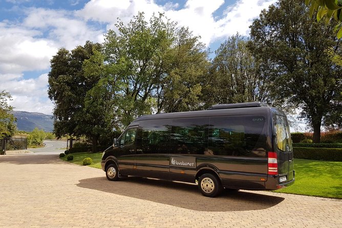 Private Transfer Madrid Barajas Airport to Madrid in Vans up to 7 Passengers - Reviews