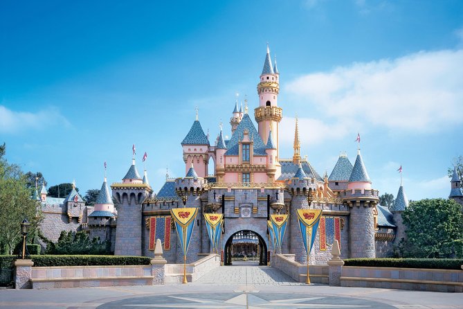 Private Transfer: Paris Disneyland to Paris City in Business Car - Cancellation Policy