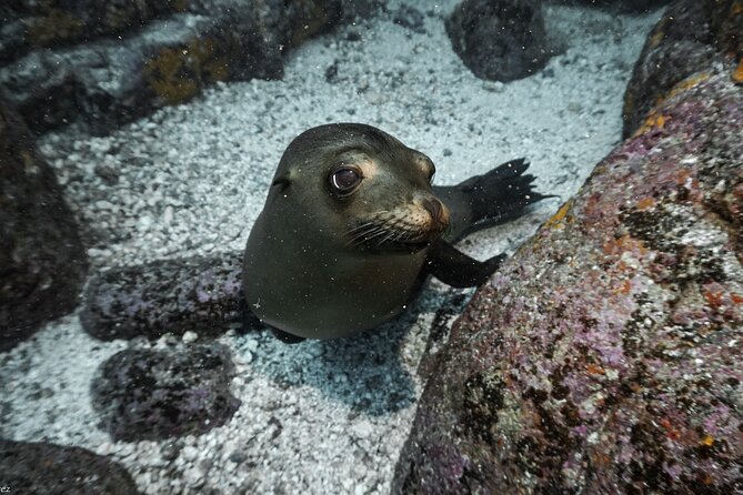 Private Trip Espiritu Santo Island - Cancellation Policy and Weather Conditions