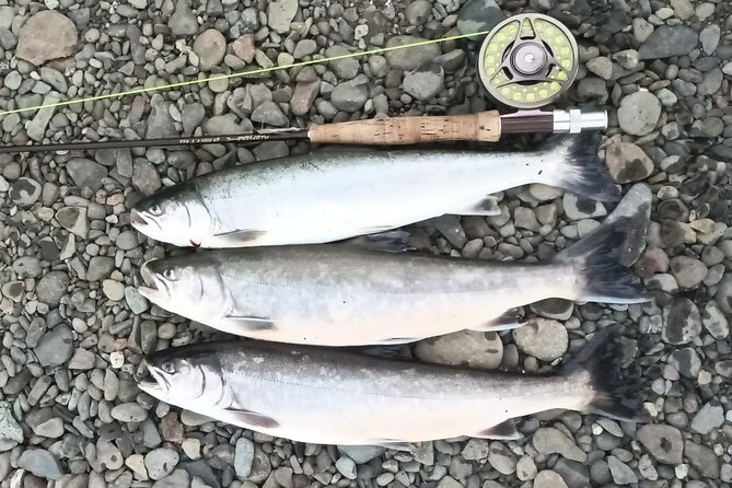 Private Trout and Char Fishing in Icelandic Serenity Experience - Reviews and Ratings