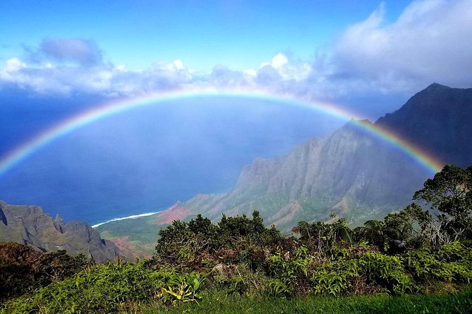 Private Waimea Canyon Tour - Reviews and Recommendations