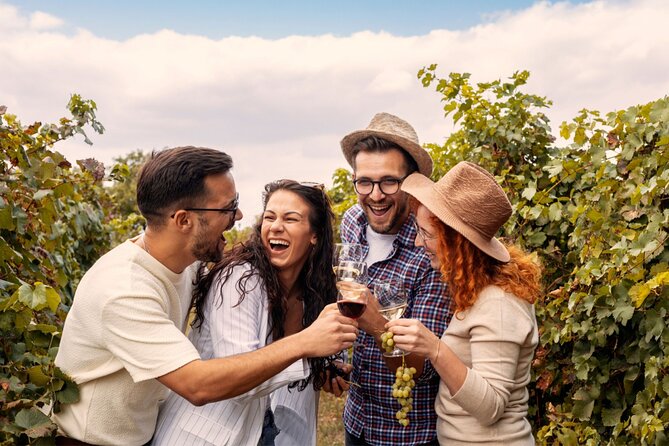 Private Walking Tour in Baden Neuweirs Vineyard - Cancellation Policy and Refunds