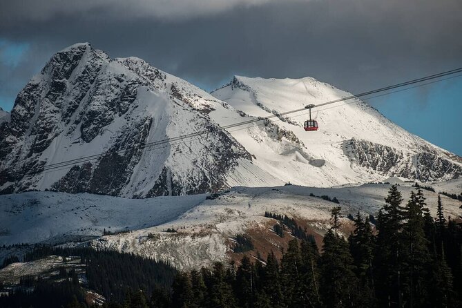 Private Whistler Full Day Tour From Vancouver - Optional Activities and Add-ons