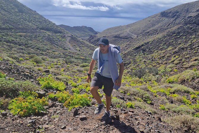 Private Wild Picnic in the North West of Gran Canaria - Meeting and Pickup