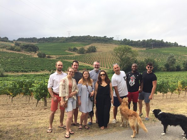 Private Wine Day Tour From Carcassonne and Around. - Discover the History of the Region