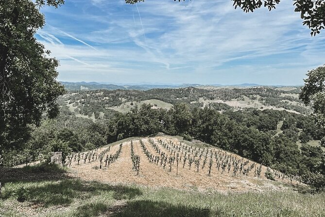 Private Wine Tour in Paso Robles - Traveler Photos