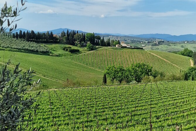 PRIVATE WINE TOURS VIP Wines and Wineries of Chianti Classico - Cancellation Policy