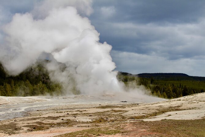 Private Yellowstone Lower Loop Tour - Customer Testimonials