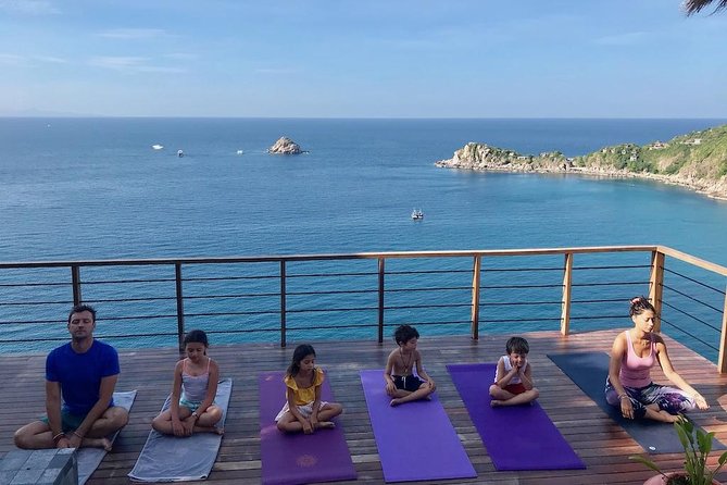 Private Yoga Classes for Individuals, Families & Groups - Convenient and Comfortable Home Practice
