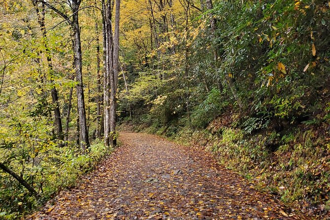 Privately Guided Full Day Hike - Meeting and Pickup