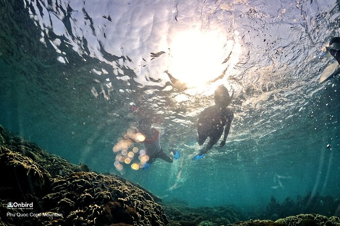 PROFESSIONAL SNORKELING to Explore Hidden Coral Spots (MAX 9 PAX) - Common Questions