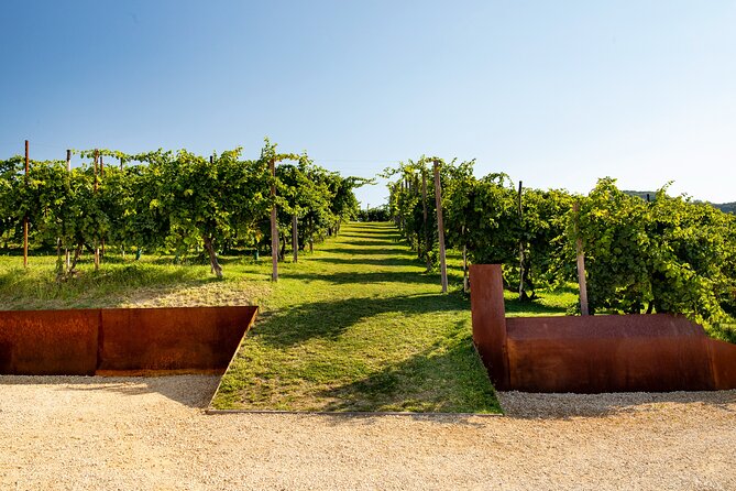 Prosecco Tasting, Appetizers and Tour of the Cellar and Vineyards - Meeting Point and Directions