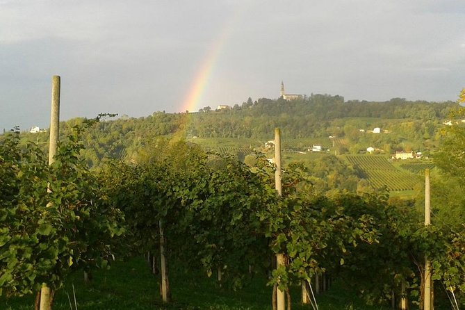 Prosecco Wine Tour. Full Day From Venice - Winery Visits