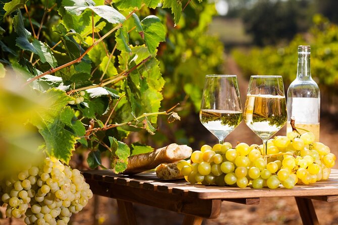 Provencal Market and Wine Tasting Full-Day Shared Tour From Nice - Positive Feedback From Travelers