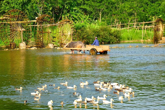 Pu Luong Nature Reserve and Ninh Binh Heritage 3 Days From Hanoi - Common Questions