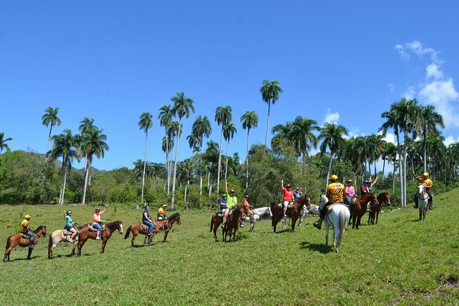 Puerto Plata Half-Day Zipline and Horseback Riding Tour - Pricing and Booking Information