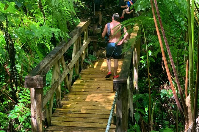 Puerto Rico: Rainforest and Beach Combo Tour  - San Juan - Positive Reviews