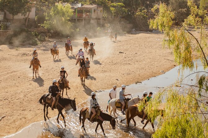 Puerto Vallarta Horseback Riding and Beach Break Adventure - Customer Reviews