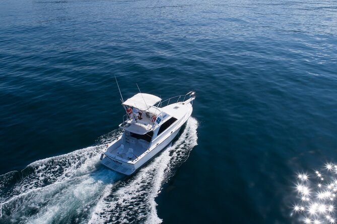 Puerto Vallarta Sightseeing, Snorkeling Cruise With Open Bar - Reviews