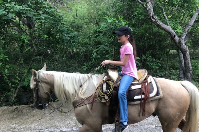 Puerto Vallarta Small-Group Horseback Riding Tour - Tour Experience