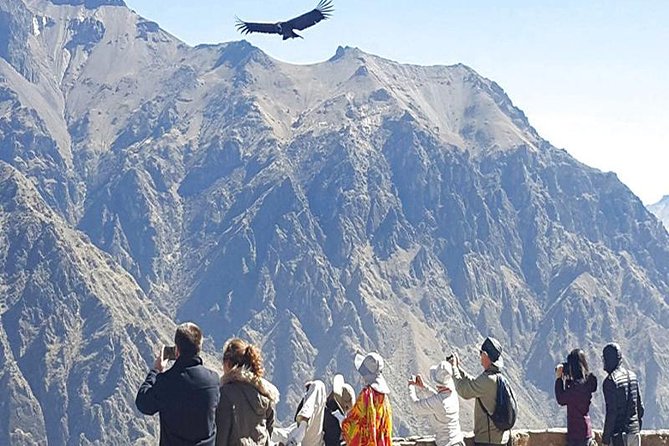 Puno, Chivay and Colca Canyon 2 Days and 1 Night - Traveler Photos and Experiences