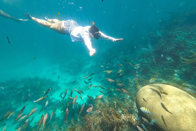 Punta Cana Private Cruise up to 10 Snorkeling & Seafood Lunch - Relaxation in Natural Pools