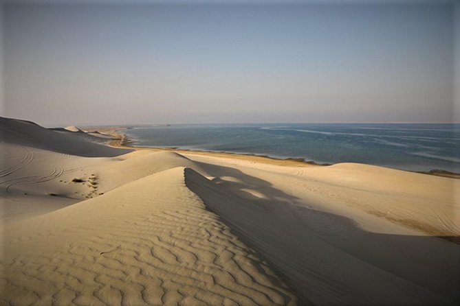 Qatar Gold Dune Safari, Dune Bashing,Camel Ride,Sand Boarding,Inland Sea Desert - Additional Information and Cancellation Policy