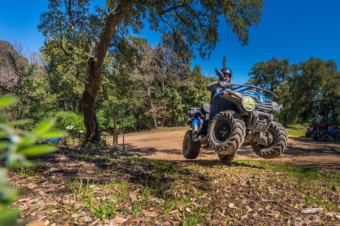 Quad Excursion in the Maremma With Barbecue in the Woods - Accessibility and Group Size