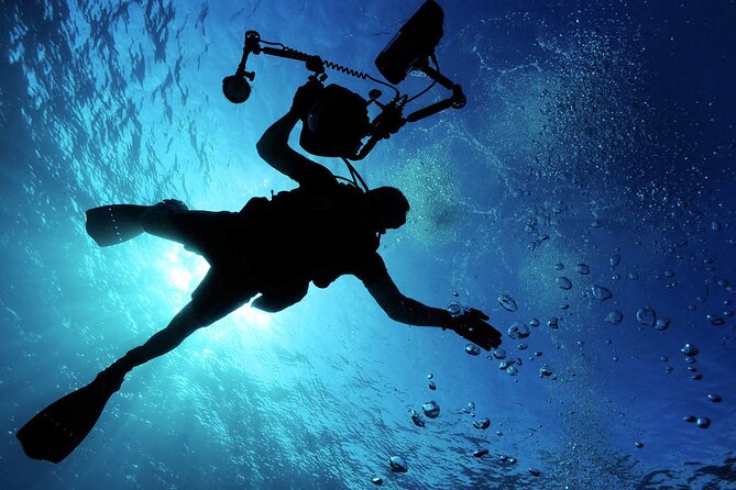 Qualified Diver 1 Tank Dive in Mykonos - Overview