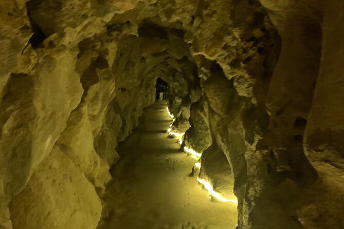Quinta Da Regaleira and Sintra Visit Half Day Private Tour - Unstructured and Local Guide