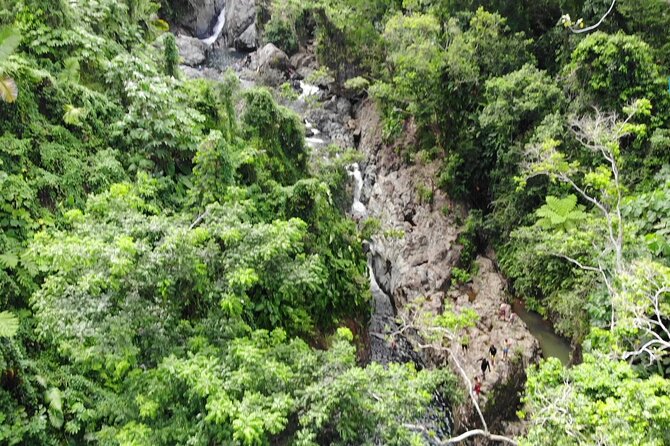 Rainforest River Nature Walk Adventure and Luquillo Beach - The Sum Up