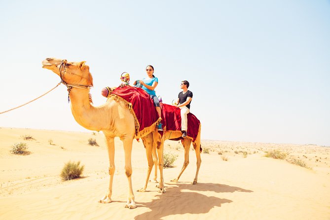 Ras Al-Khaimah: Desert Safari Fun & Adventure Trip With Dinner - The Sum Up