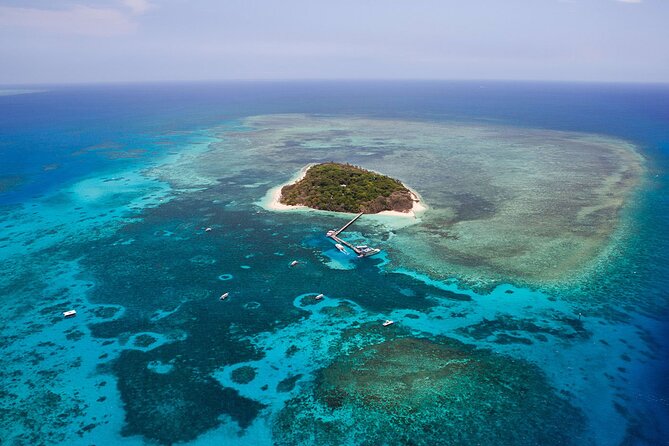 Reef and Rainforest 60 Minute Scenic Flight - Booking Information