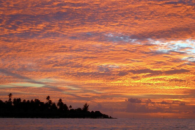 Reef Discovery Luxury Private Sunset Cruise - The Sum Up