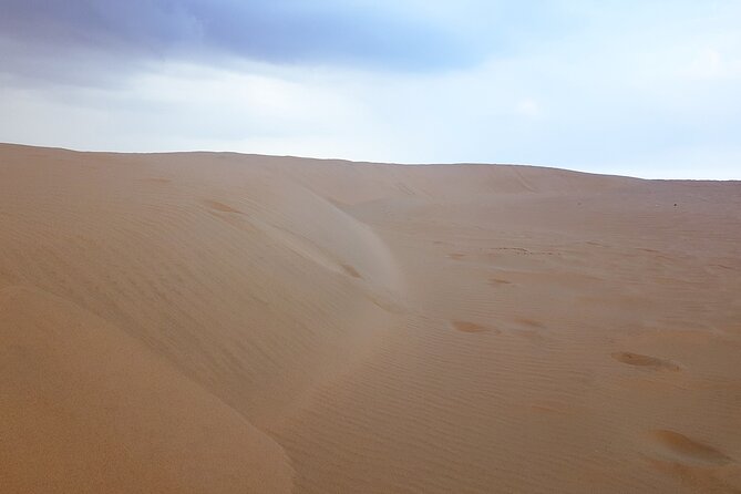 Relax Desert Safari Tour With Camel Ride and Sand Boarding - Reviews and Feedback From Previous Participants