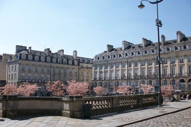 Rennes Private Walking Tour With A Professional Guide - Tailored Itinerary