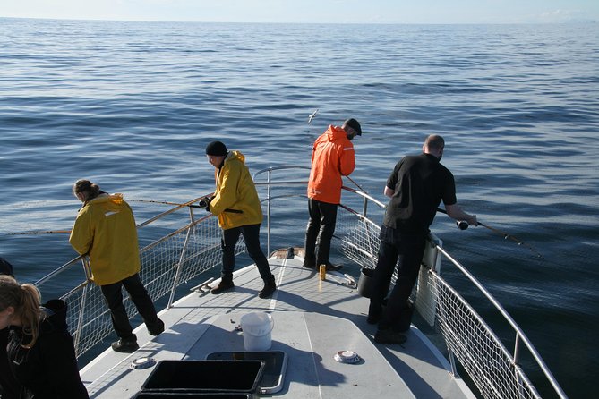 Reykjavik Sea Angling Gourmet - Enjoying a Gourmet Lunch With Your Catch