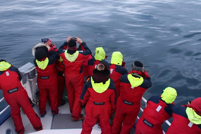 Reykjavik Two-In-One: Whales & Puffins - Tour Capacity and Refund Policy