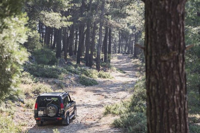 Rhodes Backcountry Shore Excursion - Hosts Response and Clarification