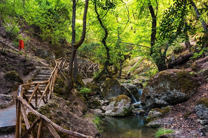 Rhodes & Lindos & Butterfly Valley - Private Half-day Excursion - Cancellation Policy