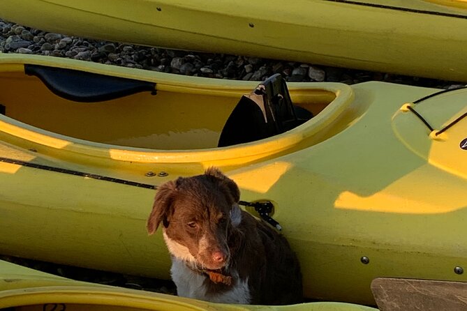 Rhodes Sea Kayaking Adventure Including Lunch and Transfers - Traveler Photos and Reviews