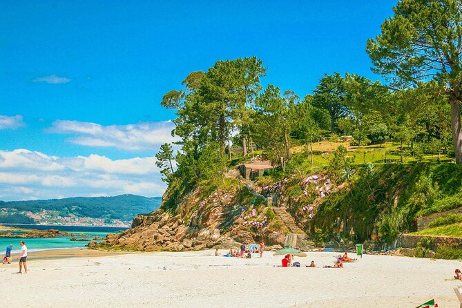 Rias Baixas PRIVATE Shore Tour - Wine Tasting Experience