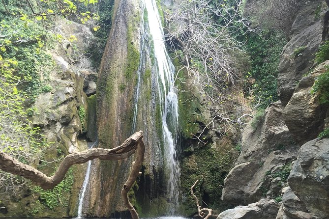 Richtis Waterfall, Minoan History, Oldest Tree, North Coast (Luxury Adventure) - Exploring the North Coast