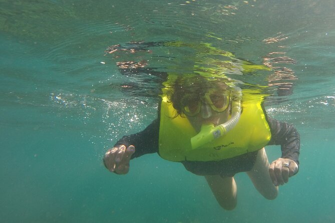Rincon Snorkeling Adventure - What to Expect on the Snorkeling Trip