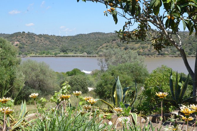 Rio Guadiana River Cruise - Pricing and Booking