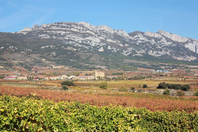 Rioja Full Experience Tour From San Sebastian With Lunch - Cancellation Policy and Booking Details