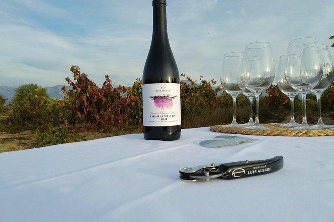 Rioja Wine Tour: Winery & Traditional Lunch From Bilbao - Cancellation Policy and Refund Information