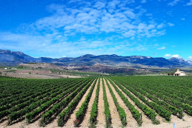Riojas Top Wines Tasting Private Tour - Traveler Reviews