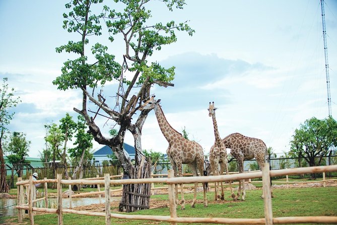 RIVER SAFARI WITH CANDLE-LIT BEACH DINNER From HOI an - Age-specific Pricing and Discounts